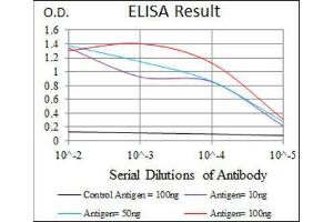 ELISA image for anti-Chemokine (C-C Motif) Ligand 2 (CCL2) antibody (ABIN1846382) (CCL2 anticorps)