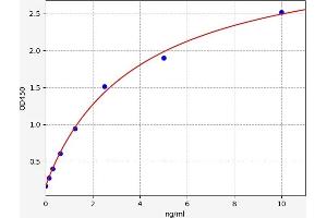 Dual Specificity Phosphatase 1 (DUSP1) ELISA Kit