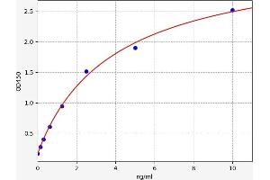 Typical standard curve (DUSP1 Kit ELISA)