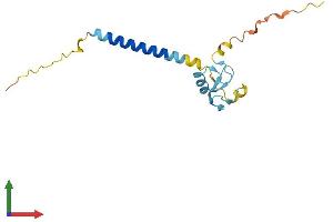 AlphaFold protein structure predicition of Mouse Recombinant Rnf24 Protein, UniprotID Q8BGI1