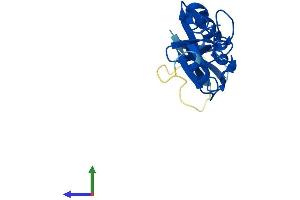 AlphaFold protein structure predicition of Human Recombinant LMO2 Protein, UniprotID P25791