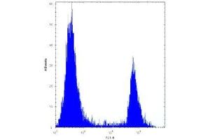 ANGPTL7 antibody flow cytometric analysis of 293 cells (right histogram) compared to a negative control (left histogram).
