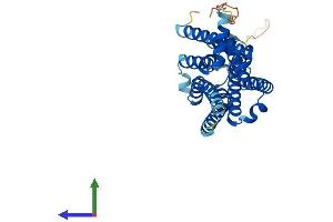 AlphaFold protein structure predicition of Human Recombinant ADORA2B Protein, UniprotID P29275