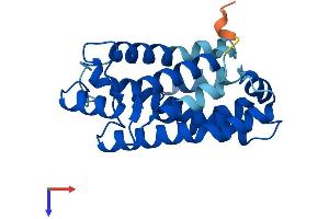 Glycolipid Transfer Protein Domain Containing 1 (GLTPD1) (AA 1-216) protein (His tag)