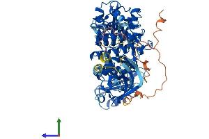 AlphaFold protein structure predicition of Human Recombinant ZAP70 Protein, UniprotID P43403