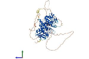 AlphaFold protein structure predicition of Mouse Recombinant Cdc14a Protein, UniprotID Q6GQT0