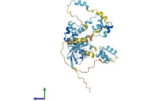 AlphaFold protein structure predicition of Human Recombinant UBAC1 Protein, UniprotID Q9BSL1