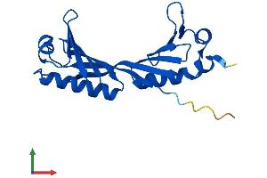 AlphaFold protein structure predicition of Human Recombinant TBPL1 Protein, UniprotID P62380