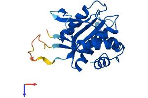 AlphaFold protein structure predicition of Human Recombinant EMC8 Protein, UniprotID O43402