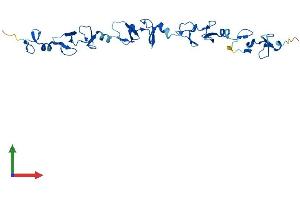 AlphaFold protein structure predicition of Human Recombinant FHL5 Protein, UniprotID Q5TD97