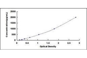 ELISA image for Metalloproteinase Inhibitor 2 (TIMP2) ELISA Kit (ABIN415894)