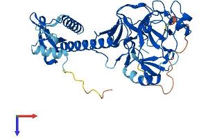 AlphaFold protein structure predicition of Human Recombinant SUV39H1 Protein, UniprotID O43463