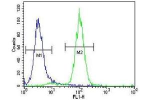 Acetylcholinesterase antibody flow cytometric analysis of human NCI-H460 cells (right histogram) compared to a negative control (left histogram). (Acetylcholinesterase anticorps  (AA 147-175))