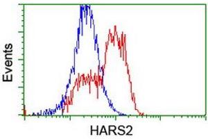 HEK293T cells transfected with either RC204925 overexpress plasmid (Red) or empty vector control plasmid (Blue) were immunostained by anti-HARS2 antibody (ABIN2455227), and then analyzed by flow cytometry. (HARS2 anticorps)