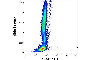 Flow cytometry surface staining pattern of human peripheral whole blood stained using anti-human CD34 (QBEnd-10) FITC antibody (20 μL reagent / 100 μL of peripheral whole blood). (CD34 anticorps  (FITC))