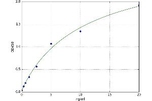 Synuclein, gamma (Breast Cancer-Specific Protein 1) (SNCG) ELISA Kit