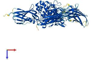 AlphaFold protein structure predicition of Human Recombinant TGM7 Protein, UniprotID Q96PF1