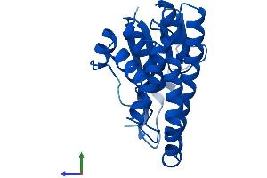 AlphaFold protein structure predicition of Human Recombinant GSTM5 Protein, UniprotID P46439