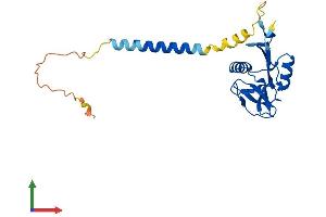 AlphaFold protein structure predicition of Mouse Recombinant Klrb1 Protein, UniprotID Q0ZUP1