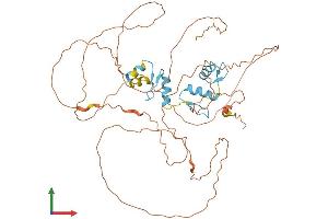 AlphaFold protein structure predicition of Human Recombinant SP8 Protein, UniprotID Q8IXZ3