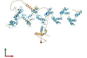 AlphaFold protein structure predicition of Human Recombinant ZNF616 Protein, UniprotID Q08AN1