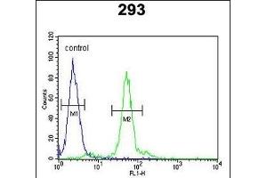 LOX Antibody (Center) (ABIN653071 and ABIN2842672) flow cytometric analysis of 293 cells (right histogram) compared to a negative control cell (left histogram). (LOX anticorps  (AA 234-260))
