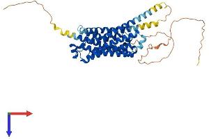 AlphaFold protein structure predicition of Mouse Recombinant Adrb2 Protein, UniprotID P18762