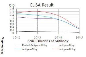 Black line: Control Antigen (100 ng), Purple line: Antigen(10 ng), Blue line: Antigen (50 ng), Red line: Antigen (100 ng), (IRAK3 anticorps  (AA 454-596))