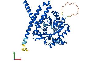 AlphaFold protein structure predicition of Mouse Recombinant Lpgat1 Protein, UniprotID Q91YX5