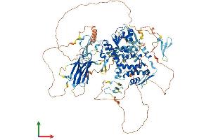 AlphaFold protein structure predicition of Mouse Recombinant Nedd4l Protein, UniprotID Q8CFI0