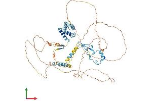 AlphaFold protein structure predicition of Human Recombinant MED26 Protein, UniprotID O95402
