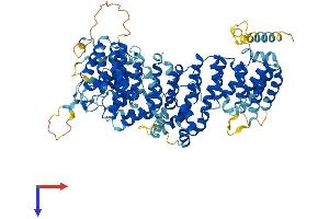 AlphaFold protein structure predicition of Human Recombinant AP5Z1 Protein, UniprotID O43299