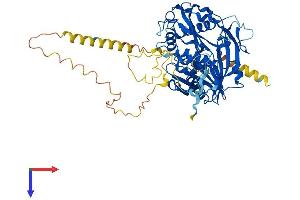 AlphaFold protein structure predicition of Human Recombinant EIF3D Protein, UniprotID O15371
