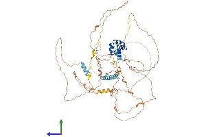 AlphaFold protein structure predicition of Human Recombinant SAMD11 Protein, UniprotID Q96NU1