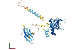 AlphaFold protein structure predicition of Human Recombinant PIH1D1 Protein, UniprotID Q9NWS0