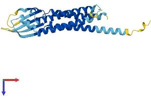 AlphaFold protein structure predicition of Human Recombinant CLRN3 Protein, UniprotID Q8NCR9