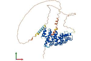 AlphaFold protein structure predicition of Mouse Recombinant Armcx1 Protein, UniprotID Q9CX83