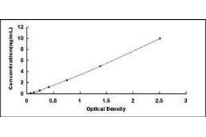CAP, Adenylate Cyclase-Associated Protein 1 (CAP1) ELISA Kit