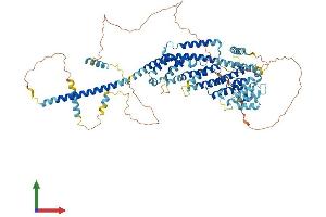 AlphaFold protein structure predicition of Human Recombinant GCFC2 Protein, UniprotID P16383