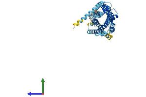 AlphaFold protein structure predicition of Human Recombinant CCR9 Protein, UniprotID P51686