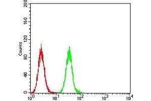 Flow cytometric analysis of Hela cells using PLCG2 mouse mAb (green) and negative control (red).