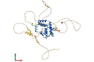 AlphaFold protein structure predicition of Mouse Recombinant Nfix Protein, UniprotID P70257