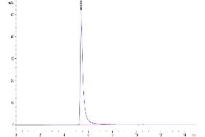 SARS-CoV-2 Spike S1 protein (Fc-Avi Tag)