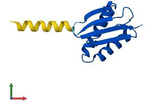 AlphaFold protein structure predicition of Mouse Recombinant Dnal4 Protein, UniprotID Q9DCM4