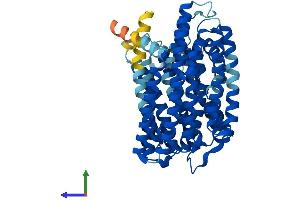 AlphaFold protein structure predicition of Mouse Recombinant Rft1 Protein, UniprotID Q8C3B8