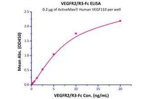 Immobilized  Human VEGF110 (Cat# VE0-H5212) at 2 μg/mL (100 μL/well) can bind VEGFR2 / R3-Fc with a linear range of 0. (VEGF110 (AA 27-136) (Active) Protéine)