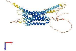 AlphaFold protein structure predicition of Human Recombinant DRD1 Protein, UniprotID P21728