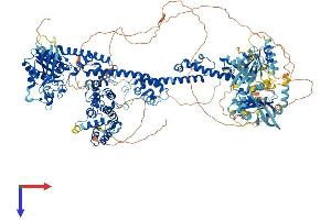 AlphaFold protein structure predicition of Mouse Recombinant Arhgap35 Protein, UniprotID Q91YM2