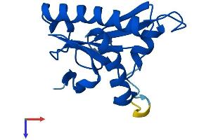AlphaFold protein structure predicition of Human Recombinant FHIT Protein, UniprotID P49789
