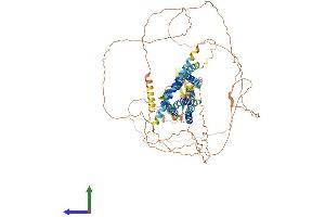 AlphaFold protein structure predicition of Human Recombinant GPR156 Protein, UniprotID Q8NFN8